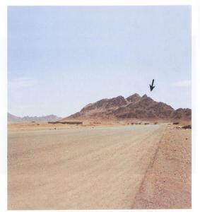 حمراء الأسد